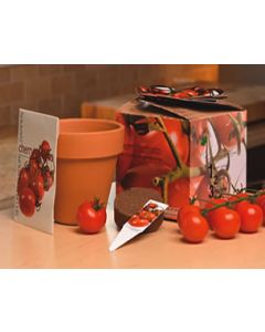 Garden Paradise – tomate-cerise
