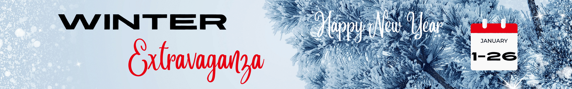 Winter Extravaganza