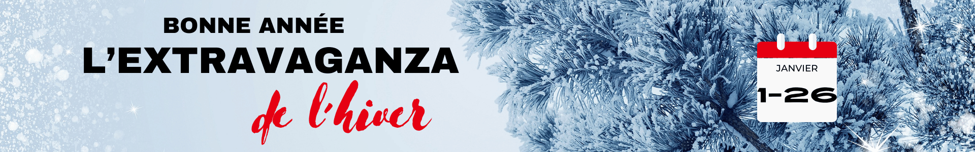 Extravaganza de Janvier