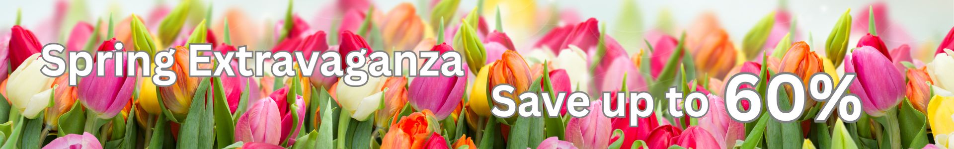 Spring Extravaganza